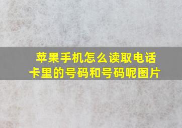 苹果手机怎么读取电话卡里的号码和号码呢图片