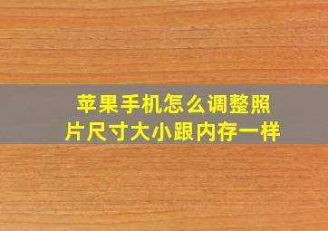 苹果手机怎么调整照片尺寸大小跟内存一样