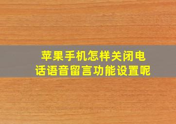 苹果手机怎样关闭电话语音留言功能设置呢