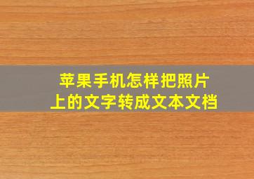 苹果手机怎样把照片上的文字转成文本文档