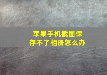 苹果手机截图保存不了相册怎么办