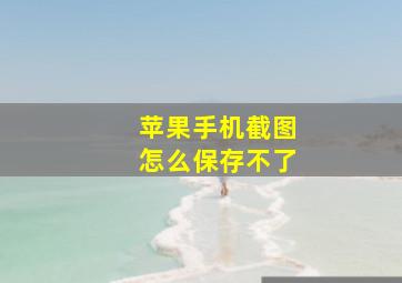 苹果手机截图怎么保存不了