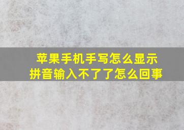 苹果手机手写怎么显示拼音输入不了了怎么回事