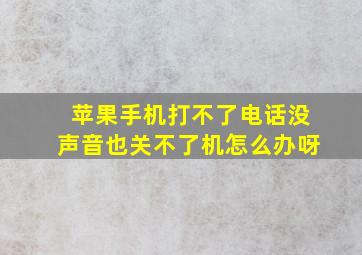 苹果手机打不了电话没声音也关不了机怎么办呀