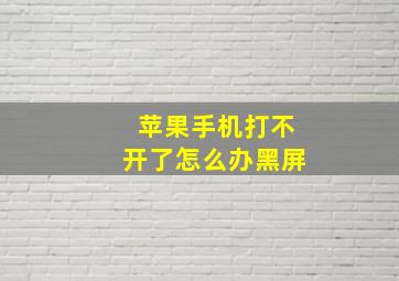 苹果手机打不开了怎么办黑屏