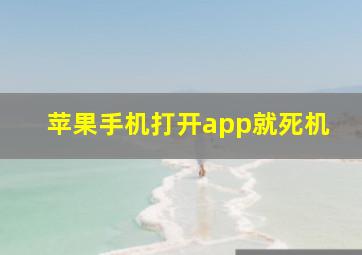 苹果手机打开app就死机