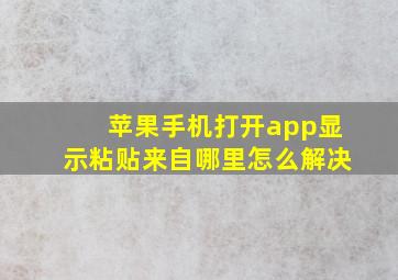 苹果手机打开app显示粘贴来自哪里怎么解决