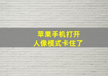 苹果手机打开人像模式卡住了