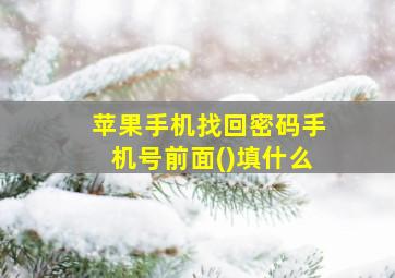 苹果手机找回密码手机号前面()填什么