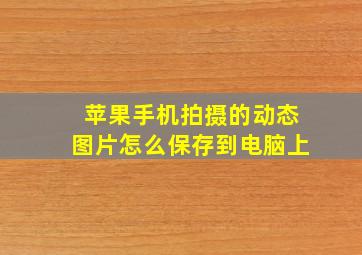 苹果手机拍摄的动态图片怎么保存到电脑上