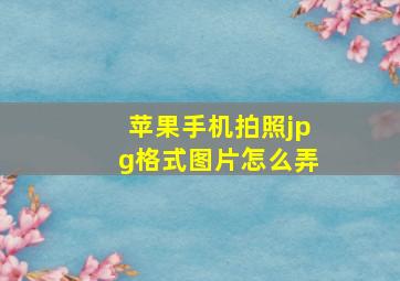 苹果手机拍照jpg格式图片怎么弄