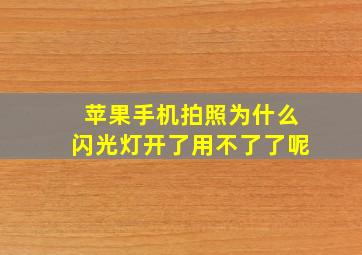 苹果手机拍照为什么闪光灯开了用不了了呢