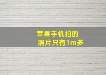 苹果手机拍的照片只有1m多