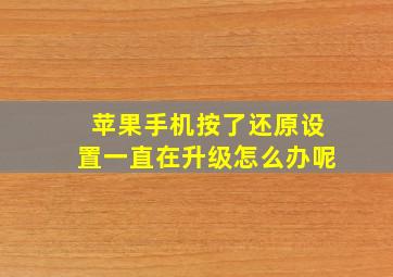 苹果手机按了还原设置一直在升级怎么办呢