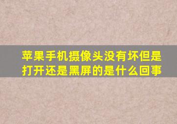 苹果手机摄像头没有坏但是打开还是黑屏的是什么回事