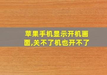 苹果手机显示开机画面,关不了机也开不了