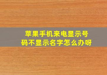 苹果手机来电显示号码不显示名字怎么办呀