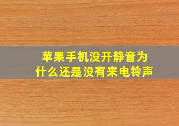 苹果手机没开静音为什么还是没有来电铃声