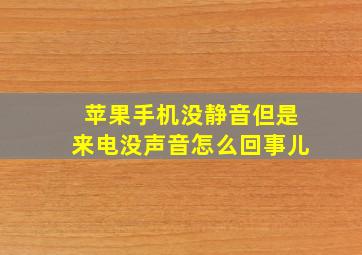 苹果手机没静音但是来电没声音怎么回事儿