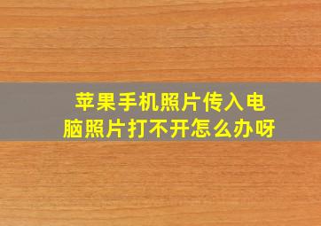 苹果手机照片传入电脑照片打不开怎么办呀