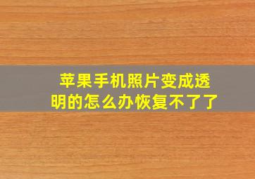 苹果手机照片变成透明的怎么办恢复不了了