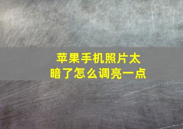 苹果手机照片太暗了怎么调亮一点