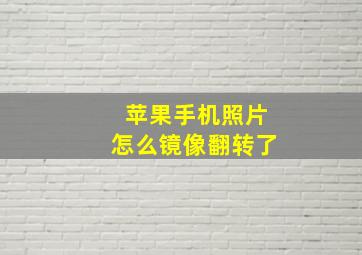 苹果手机照片怎么镜像翻转了