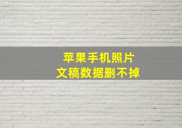 苹果手机照片文稿数据删不掉