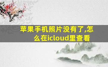 苹果手机照片没有了,怎么在icloud里查看