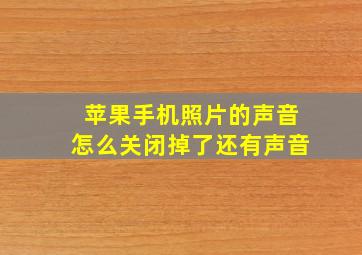 苹果手机照片的声音怎么关闭掉了还有声音