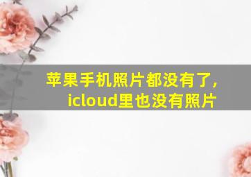 苹果手机照片都没有了,icloud里也没有照片