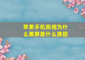 苹果手机照相为什么黑屏是什么原因