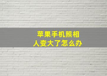 苹果手机照相人变大了怎么办