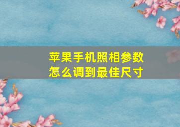 苹果手机照相参数怎么调到最佳尺寸