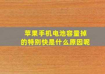 苹果手机电池容量掉的特别快是什么原因呢