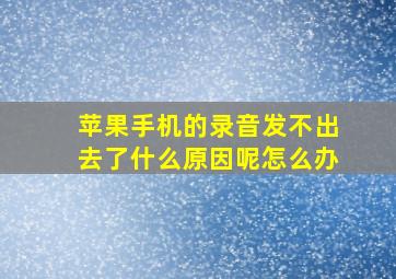 苹果手机的录音发不出去了什么原因呢怎么办