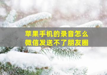 苹果手机的录音怎么微信发送不了朋友圈