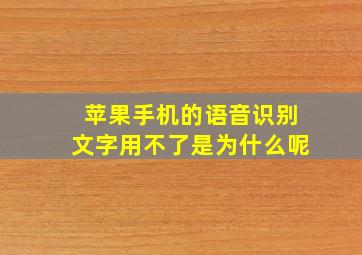 苹果手机的语音识别文字用不了是为什么呢