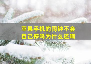 苹果手机的闹钟不会自己停吗为什么还响