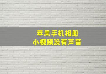 苹果手机相册小视频没有声音