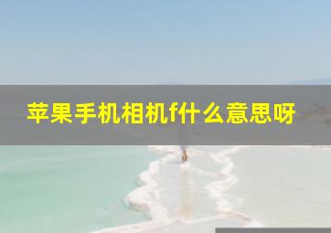 苹果手机相机f什么意思呀