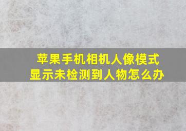 苹果手机相机人像模式显示未检测到人物怎么办