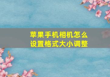 苹果手机相机怎么设置格式大小调整