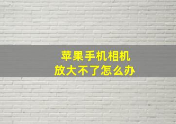 苹果手机相机放大不了怎么办