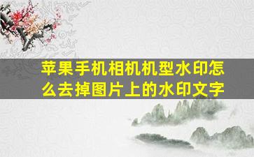 苹果手机相机机型水印怎么去掉图片上的水印文字