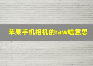 苹果手机相机的raw啥意思