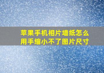 苹果手机相片墙纸怎么用手缩小不了图片尺寸