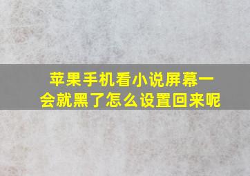 苹果手机看小说屏幕一会就黑了怎么设置回来呢