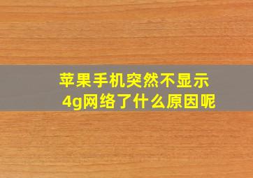 苹果手机突然不显示4g网络了什么原因呢