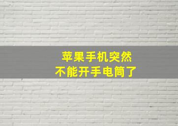 苹果手机突然不能开手电筒了